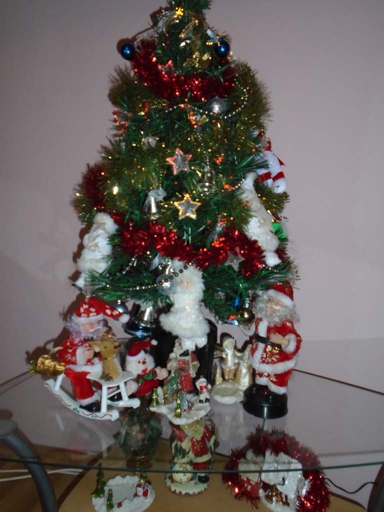 Concurs fotografie Bucuria Sărbătorilor de iarnă (Foto 2) - Catalina Andreea Tirca