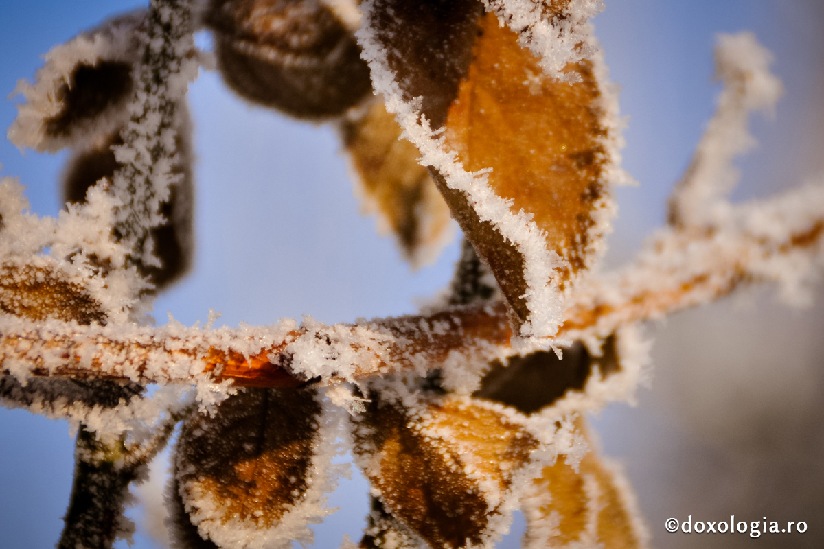 Durerea curățește sufletul