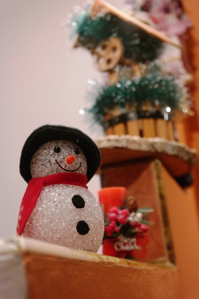 Concurs fotografie Bucuria Sărbătorilor de iarnă (Foto 1) - Gabriel Tuchendrea