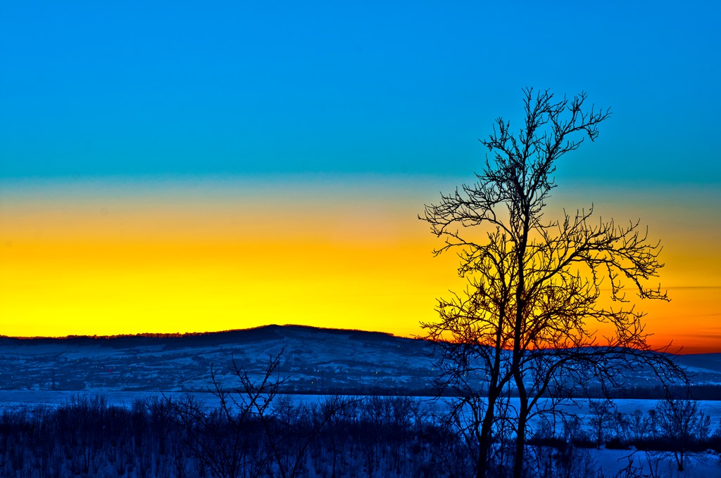 Concurs fotografie Bucuria Sărbătorilor de iarnă (Foto 2) - Mihai Bogdan Bulgariu