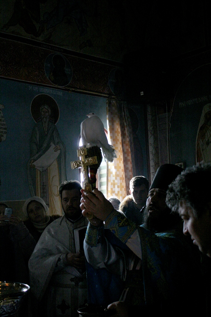 Concurs fotografie Bucuria Sărbătorilor de iarnă (Foto 1) - Andrei Pătrașcu