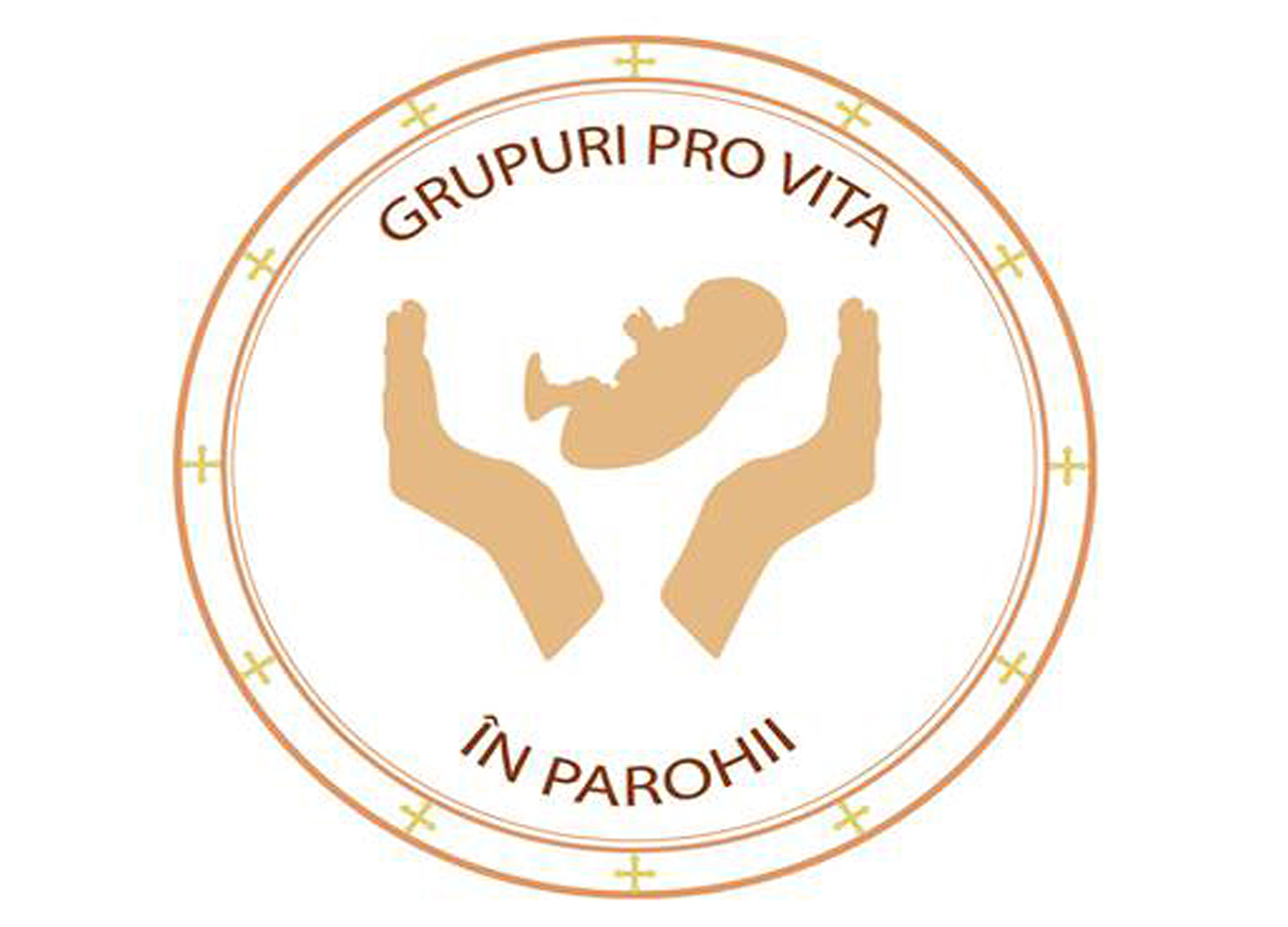 Grupuri Pro Vita în parohii