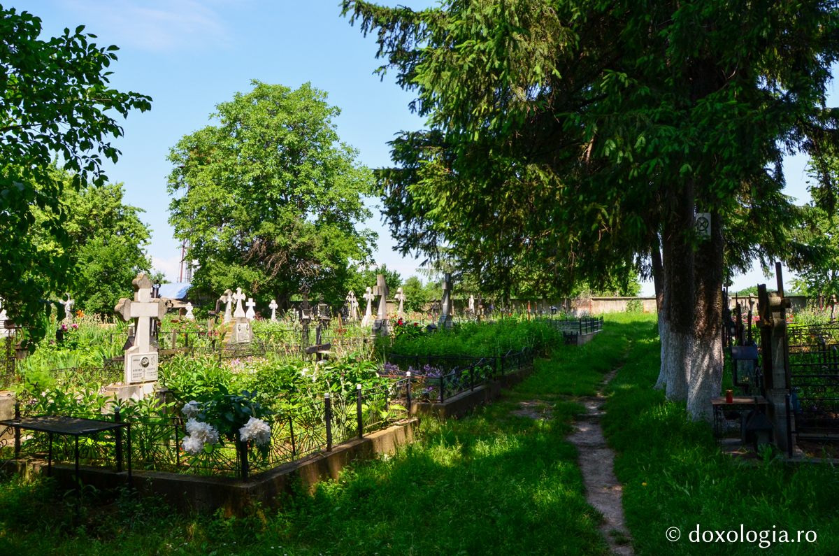 Pași în veșnicie: cimitirul Mănăstirii Războieni