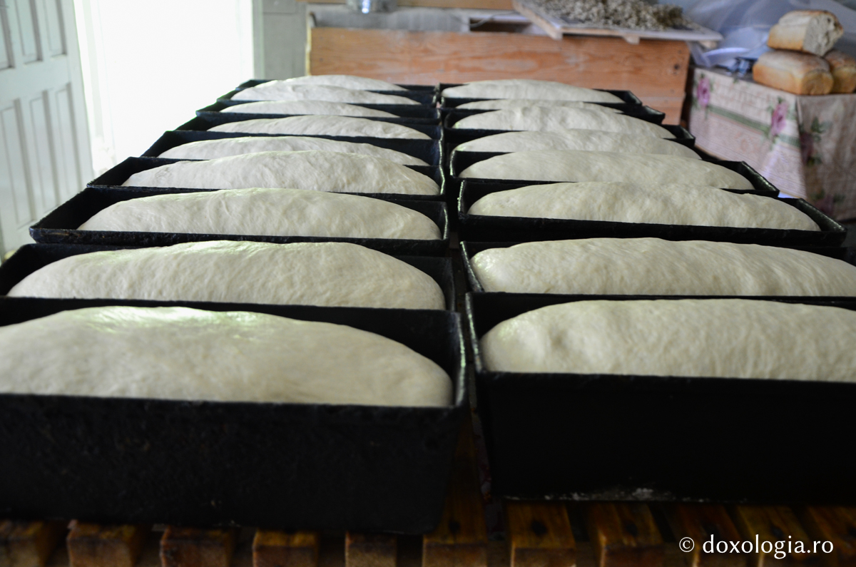 Coacerea pâinii la Mănăstirea Războieni