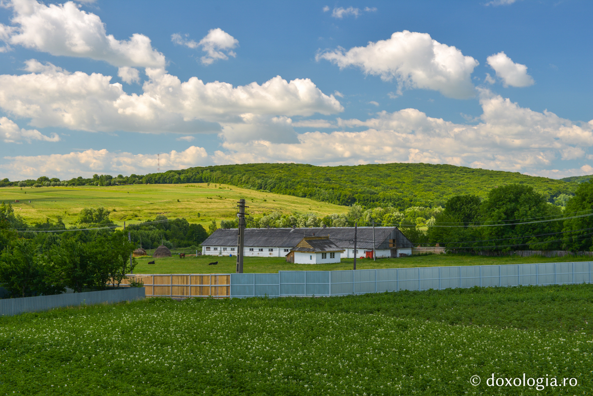 Războienii de astăzi