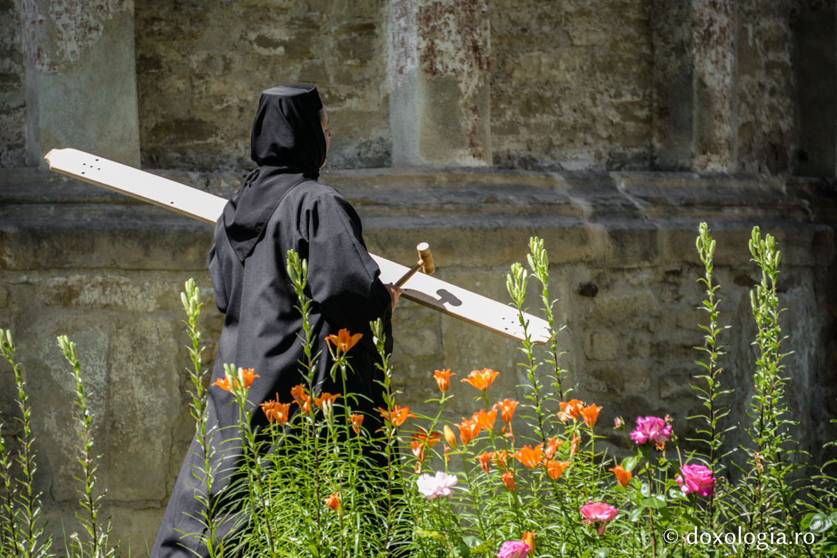 Renașterea vieții monahale de la Războieni