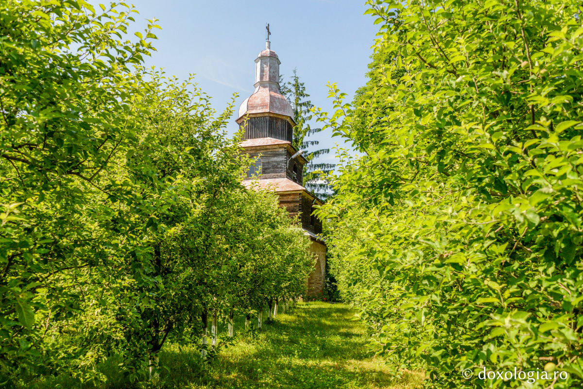 Războienii de astăzi