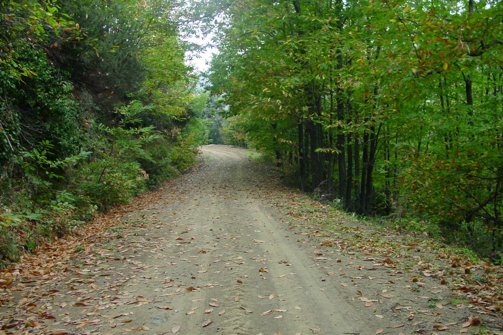 Peștera Sfântului Dionisie Olimpianul din Muntele Athos