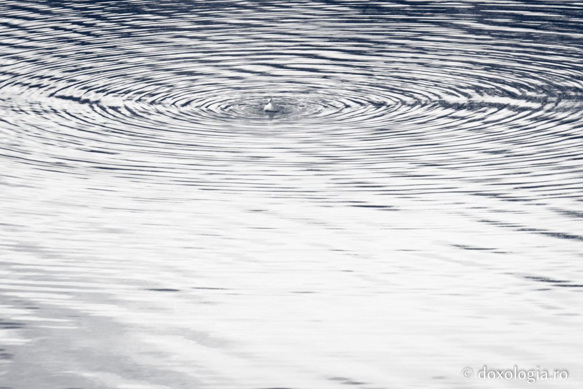 Cât de prețioasă este pocăința