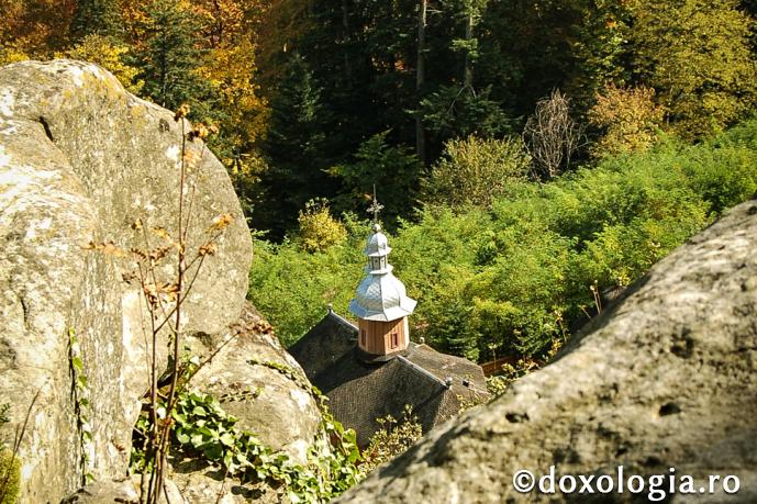 Parabola comorii din ţarc