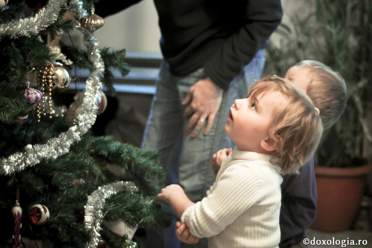 Bradul - forma văzută a sufletului împodobit