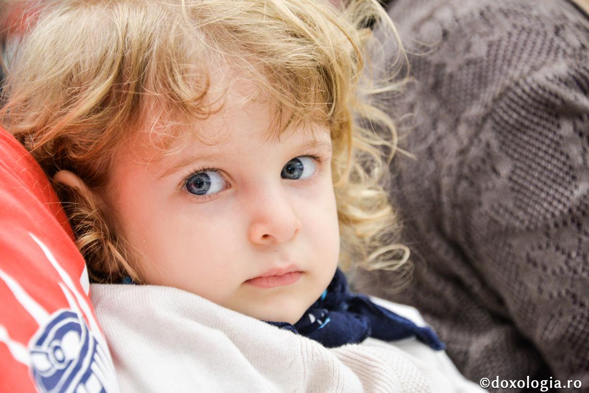 Bucuriile vieții duhovnicești