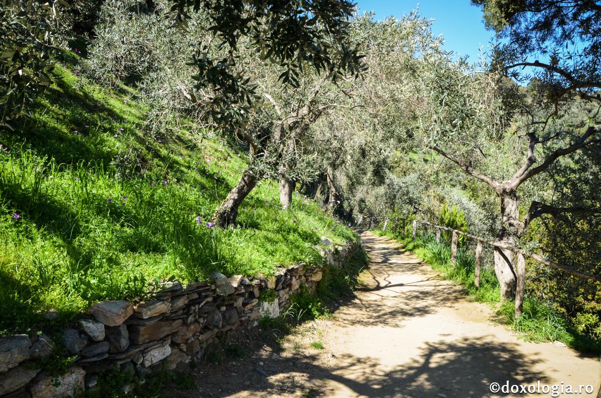 Strâmtă şi mâhnicioasă este calea ce duce la viaţă