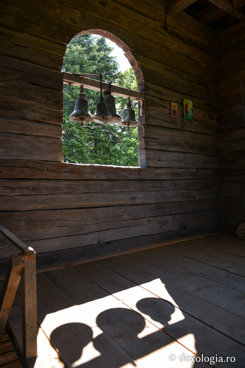 Lupta pentru adevăr