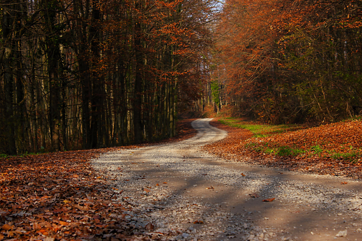 Ce drum alegem – al sfinţilor sau al păcatului?