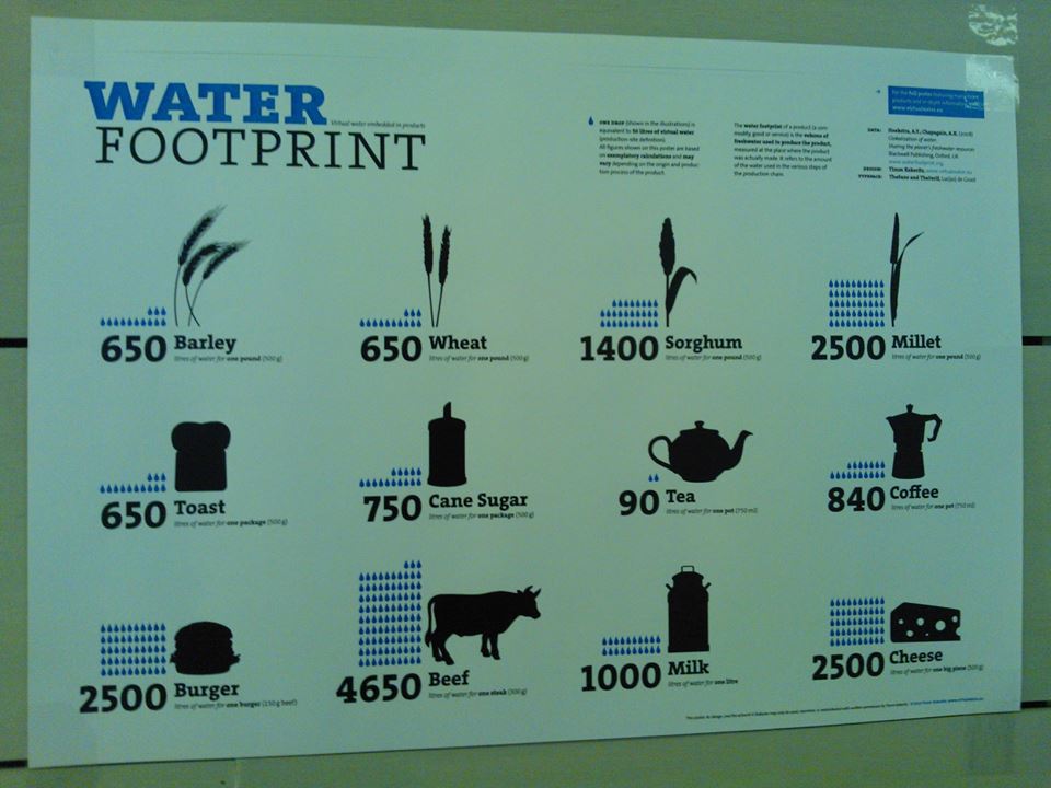 Expoziţia „Lumea este însetată pentru că nouă ne este foame“, la Colegiul „Sfântul Nicolae“