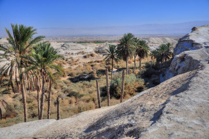 Vechile chilii ale Lavrei Sfântului Gherasim de la Iordan / Foto: biblewalks.com Vechile chilii ale Lavrei Sfântului Gherasim de la Iordan