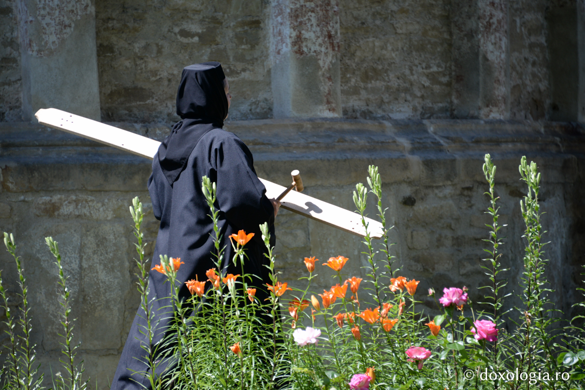 Ascultarea este rânduială dumnezeiască