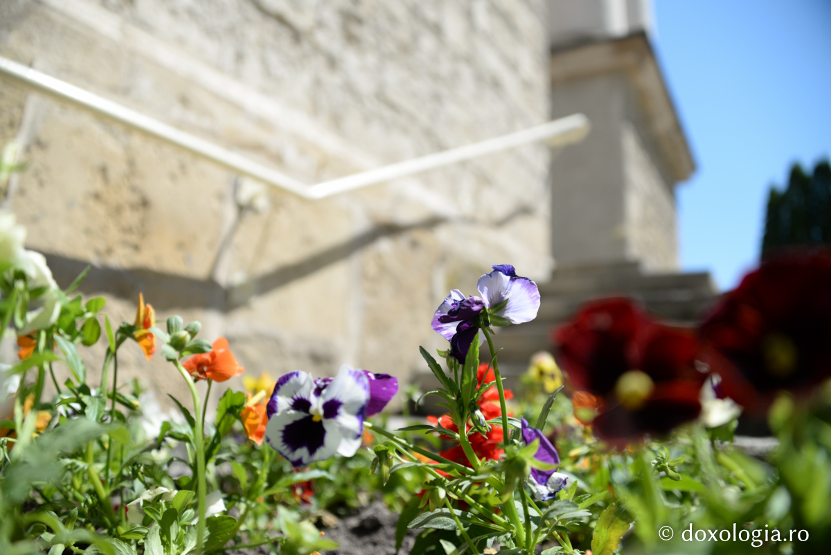 Lumea este dovada iubirii lui Dumnezeu pentru om