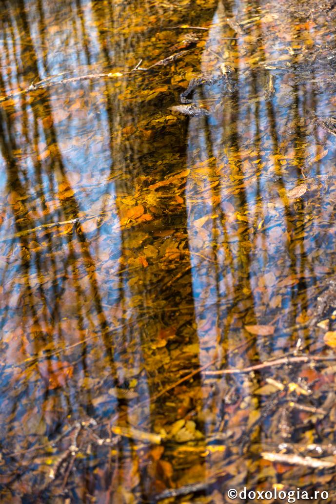 Dumnezeu are multe moduri de a-l mântui pe om