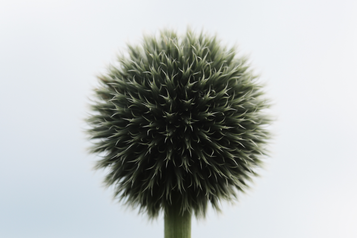 Desfrânarea, suma tuturor păcatelor