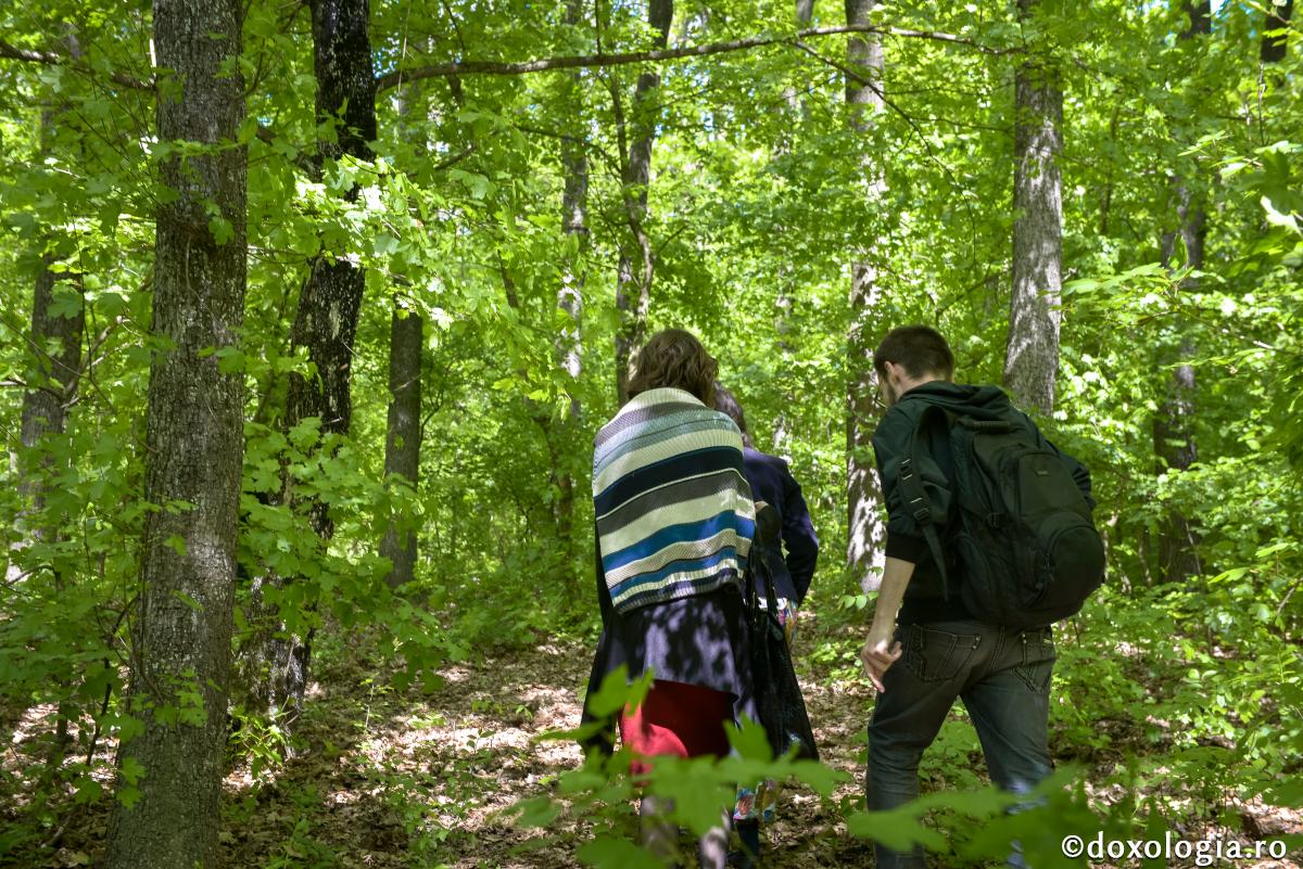 Prietenia, în accepţiunea creştină, este privită ca început al iubirii