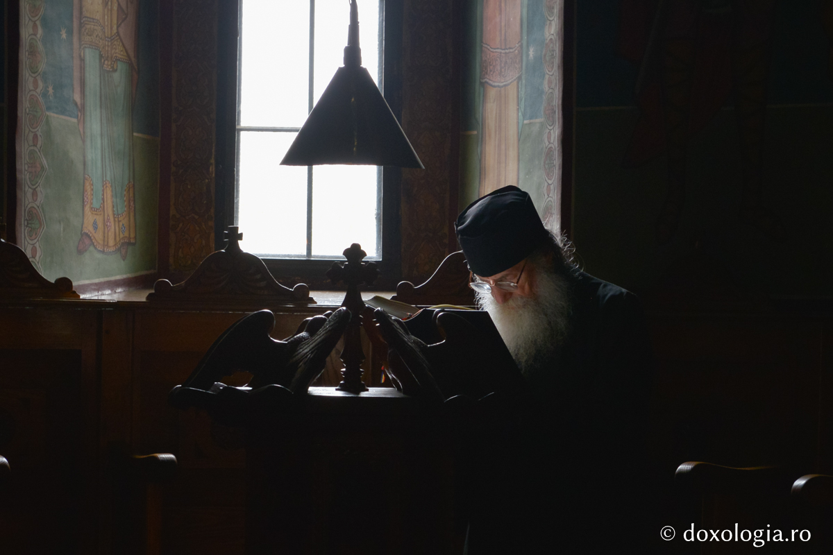 Despre răbdarea care aduce odihnă