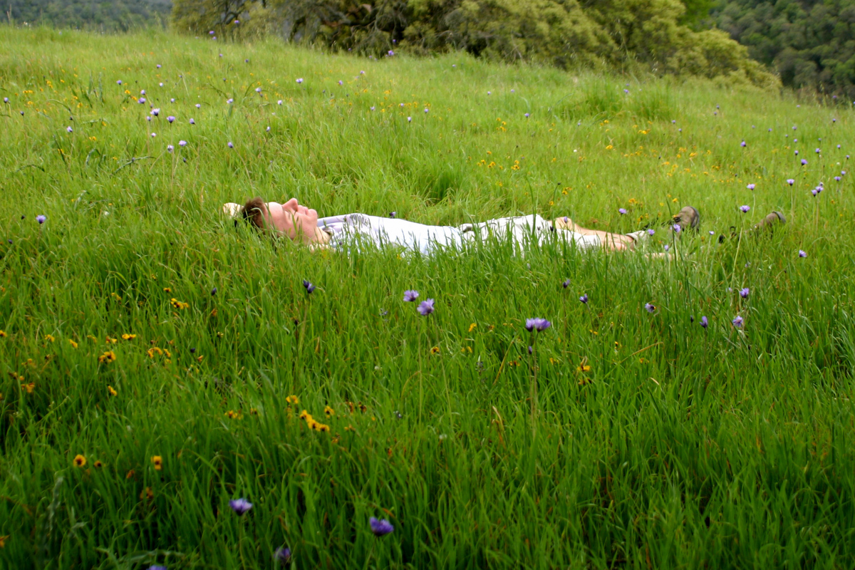 Leneşul, trimiţându-se pe cale, va zice: Leu este în cale, şi ucigaş pe dru­muri