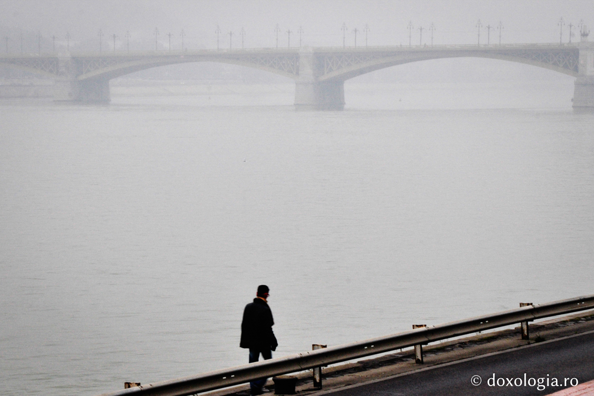 Să facem să rodească singurătatea noastră!