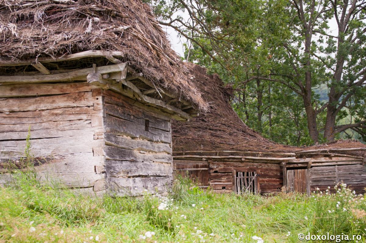 Ce zidim pe temelia casei noastre?