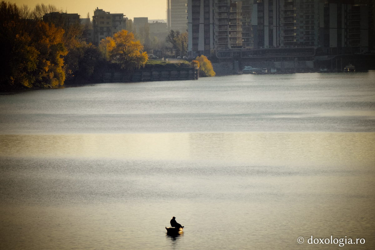 Un Tovarăș nevăzut și bun