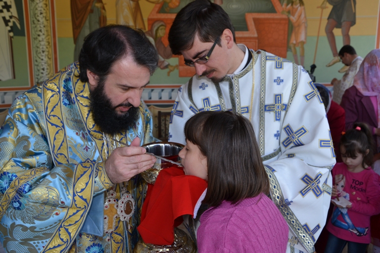 Sărbătoarea Izvorul Tămăduirii la Mănăstirea Vasiova