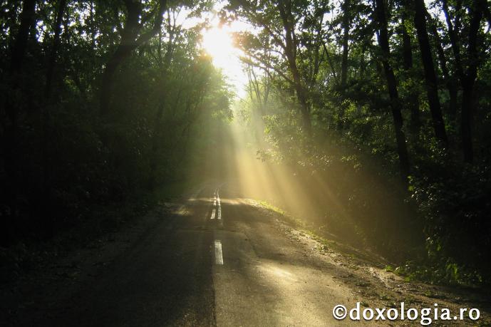 Cerşetorul de lumină