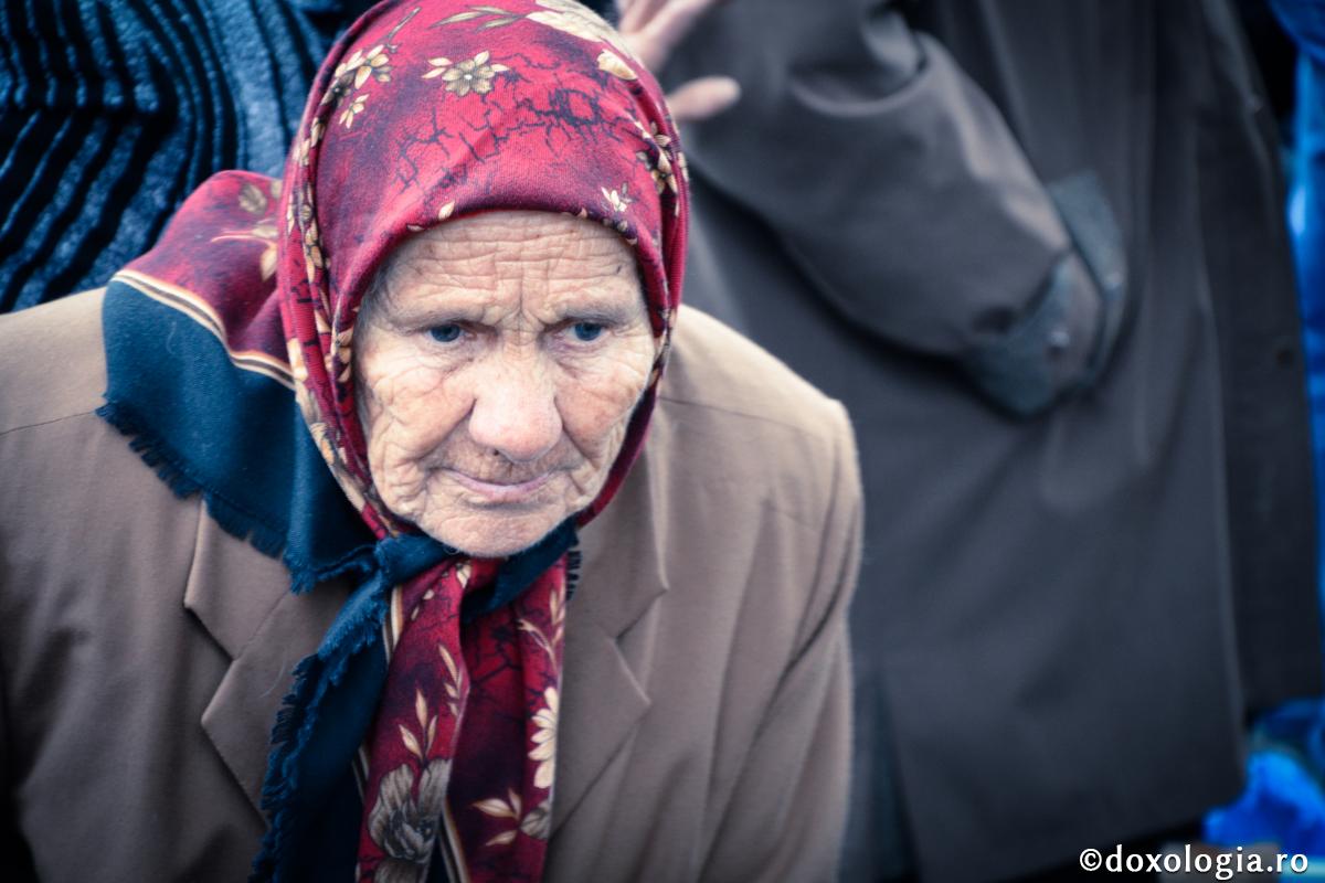 Omul ca iarba, zilele lui ca floarea câmpului, aşa va înflori