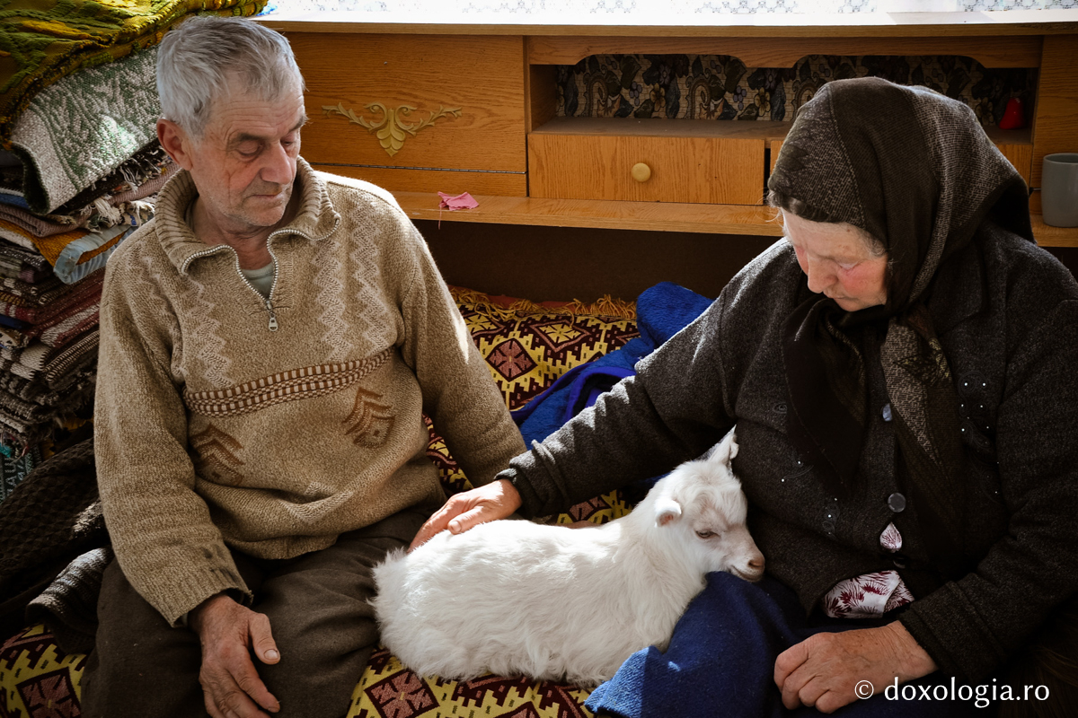Foto: Oana Nechifor Fericiţi sunt cei ce poartă grijă de bătrânii lor!
