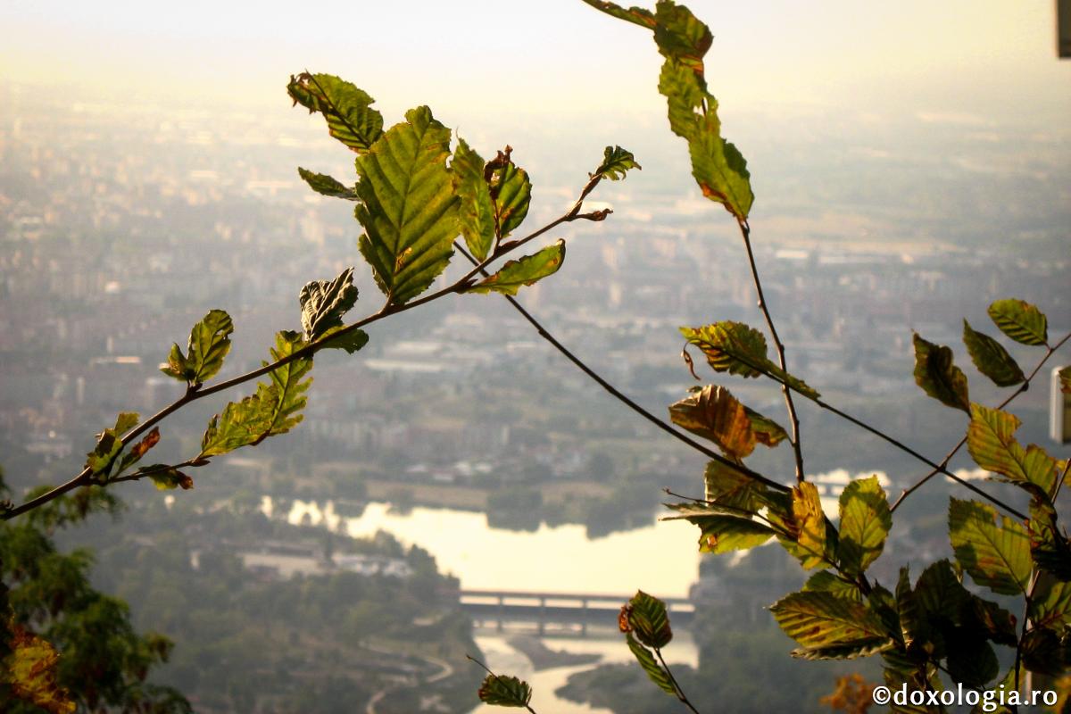 Cei ce nu au povăţuitori, aceia cad ca frunzele