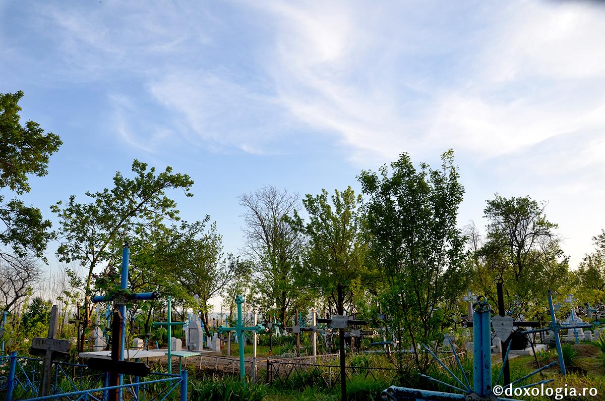 Sora noastră, moartea