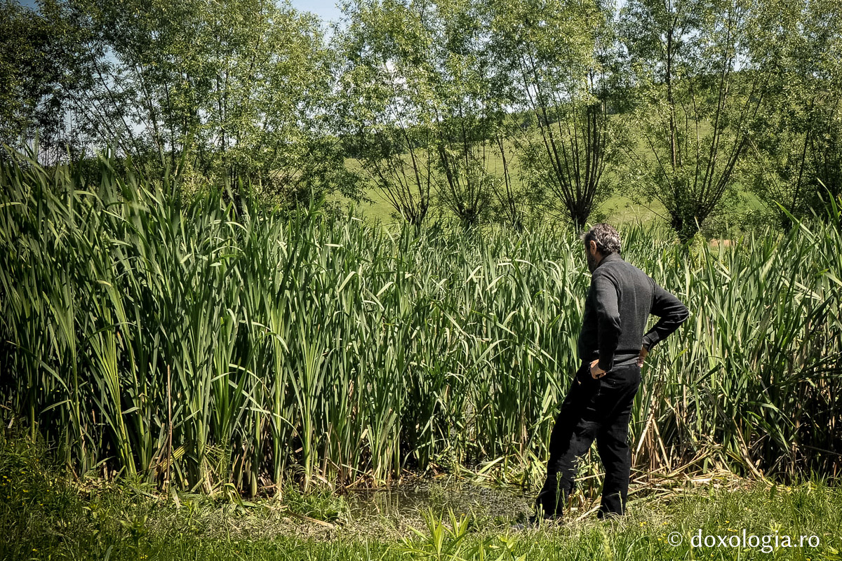 Cu cât oamenii ne împing în jos, cu atât Dumnezeu ne ridică...
