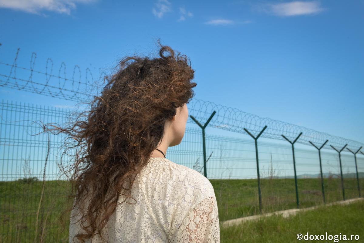 Despre contemplaţie