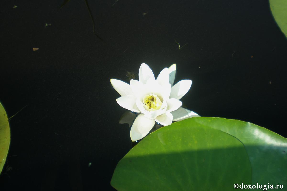 Să ne ferim de iad şi să iubim Raiul