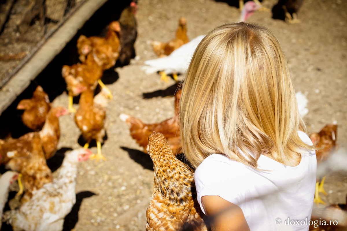 Deosebita valoare a omului faţă de „fiinţele raţionale”