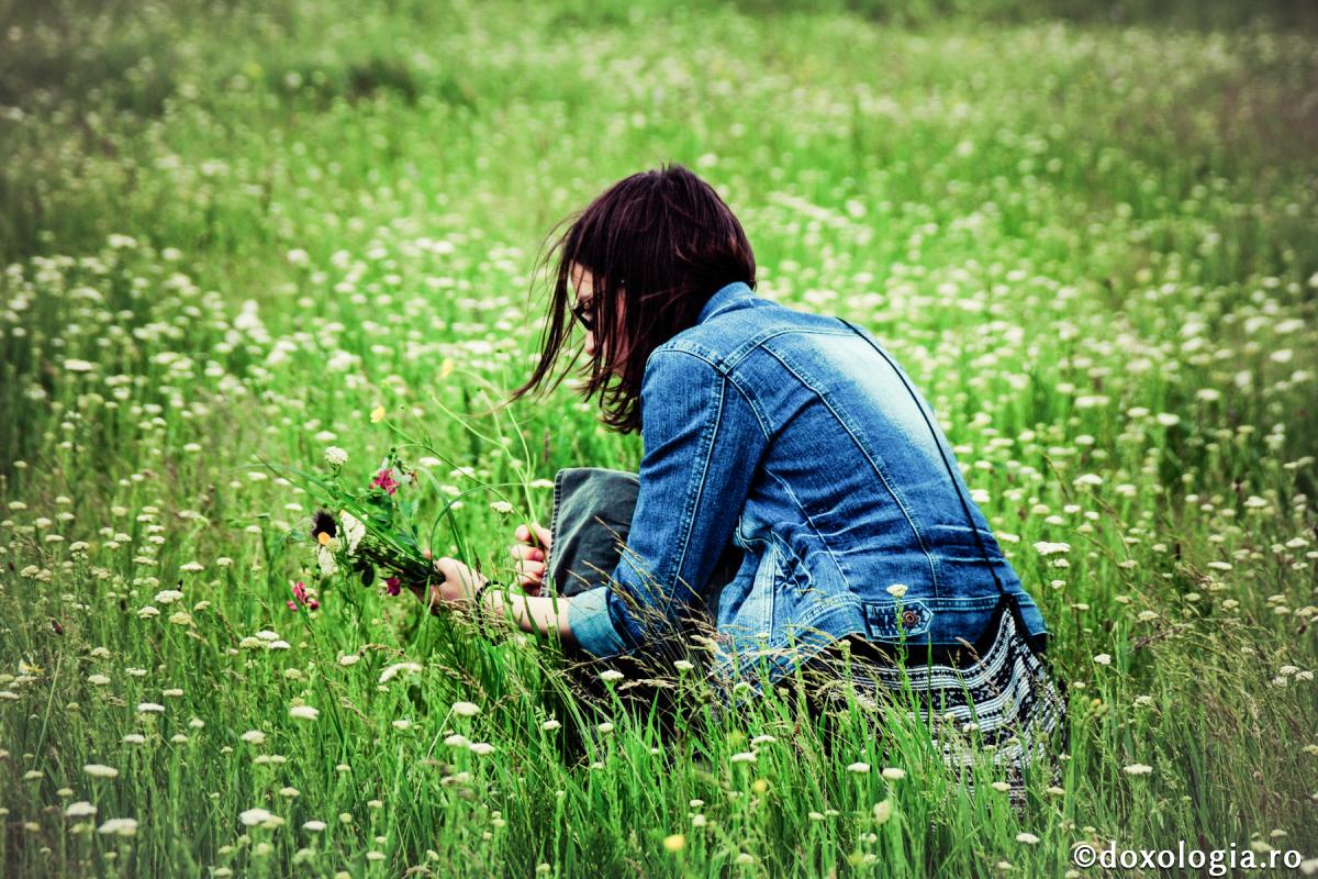 Să cultivăm florile virtuților în inimile noastre!