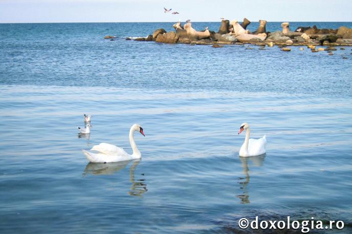 Împărăția Cerurilor