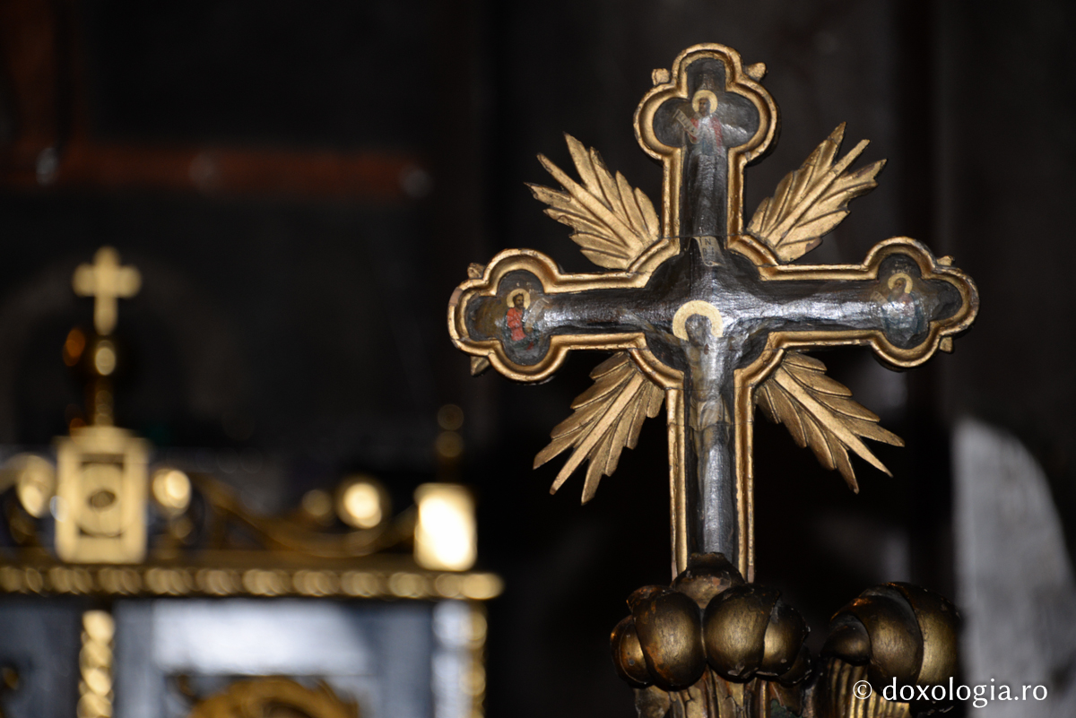 Tu ai vrea să mori în locul Meu?