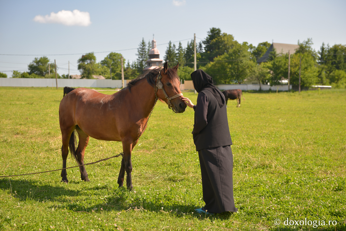 Dacă această părută liniştire v-ar fi folosit, Dumnezeu v-ar fi adus negreşit la aceasta