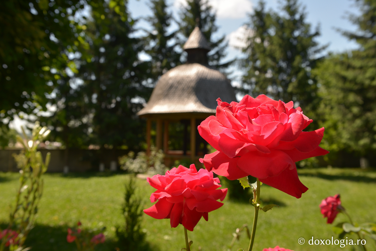 Ortodoxia trebuie să fie un mod de viaţă!