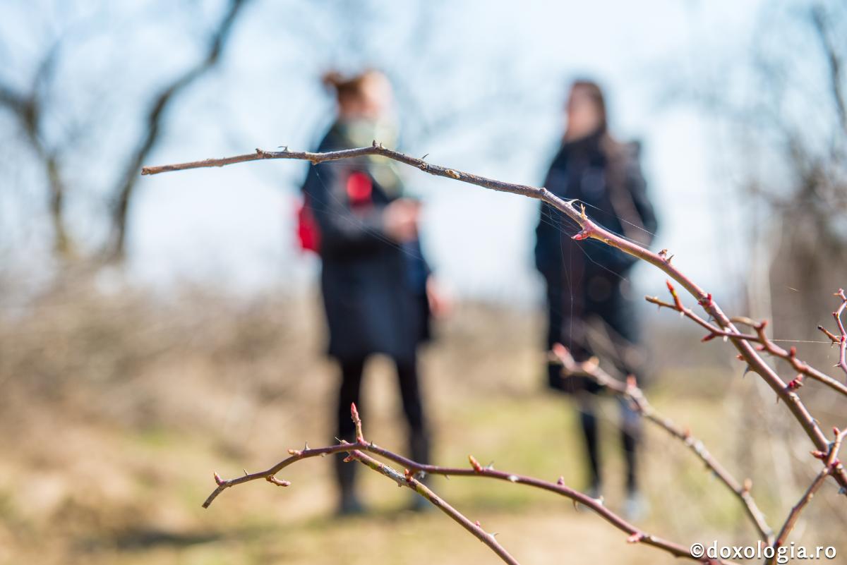 Cum să ne raportăm la păcatele aproapelui?