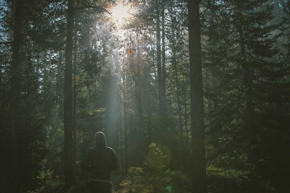 Aceasta poate fi ultima zi din viaţa ta!
