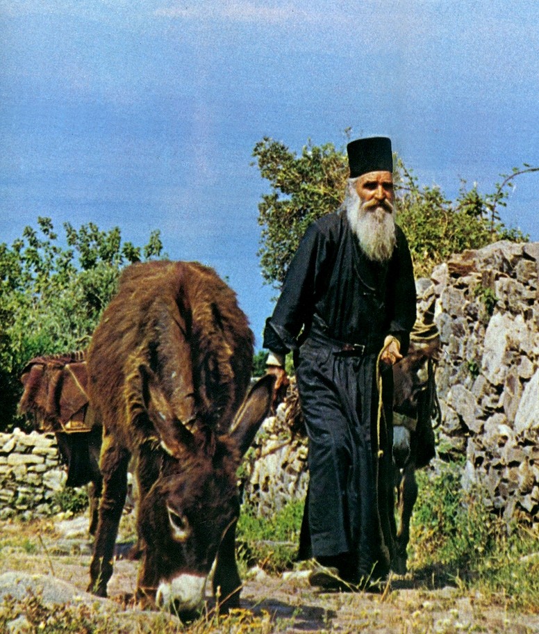 Patriarhul şi catârul