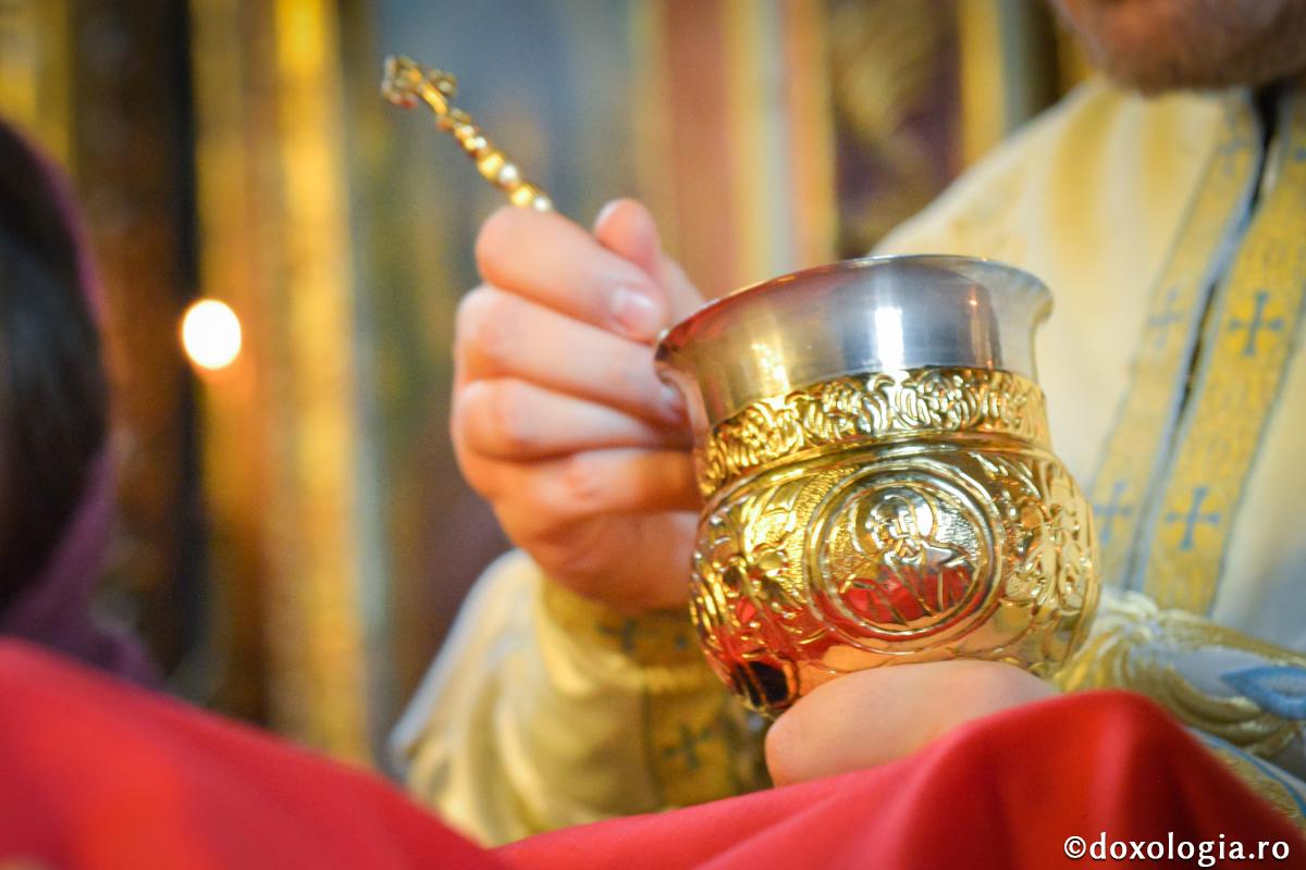 Puterea dătătoare de viaţă a nemuritoarelor Taine